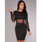 Black Mesh Sexy Bodycon Long Sleeves Dress