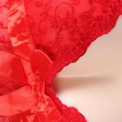 Red Sexy Draping Mesh and Lace Babydoll Set