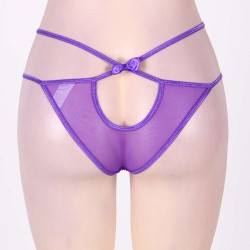 Plus Size Glamorous Purple Panty