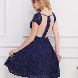 Lace Round Neck Elegant Blue Bodycon Dress