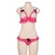 Sexy Bra Sexy Bra