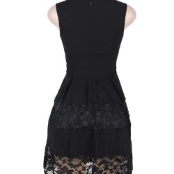 Lace Mesh Sleeveless Pleated Black Skater Dress