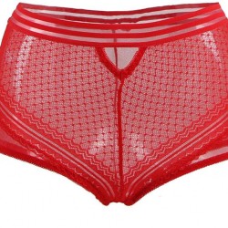 Sexy High Waist Perspective Panty