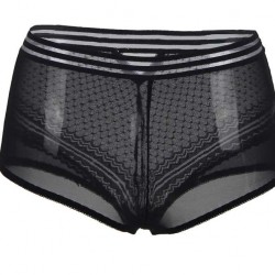 Sexy High Waist Perspective Panty