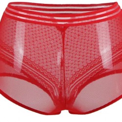 Sexy High Waist Perspective Panty