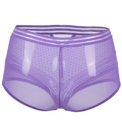 Plus Size Sexy High Waist Perspective Panty