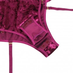 Sheer Lace Off-The-Shoulder Lace Sleeves Velvet Teddy