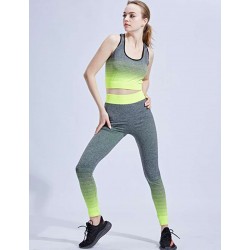 Green Gradient Fitness Sports Set Green Gradient Fitness Sports Set