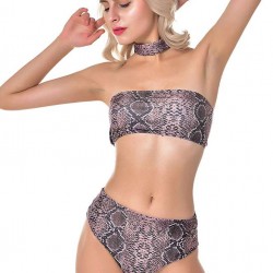 Snake Sexy Summer Women's Bikini Set
