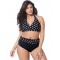 Plus Size Polka Dot Sexy Summer Women's Bikini Set